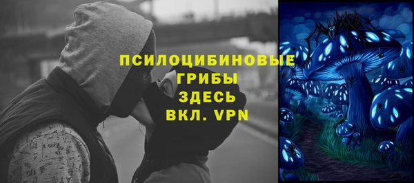 кокс Алексин