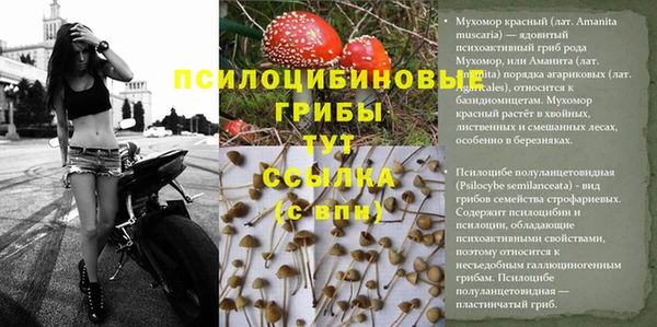 спиды Алексеевка