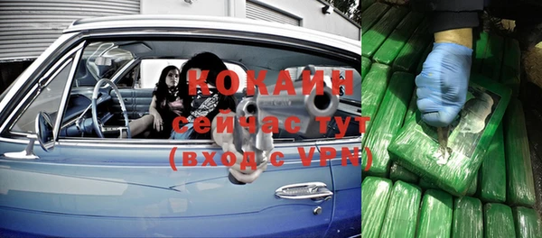 кокс Алексин