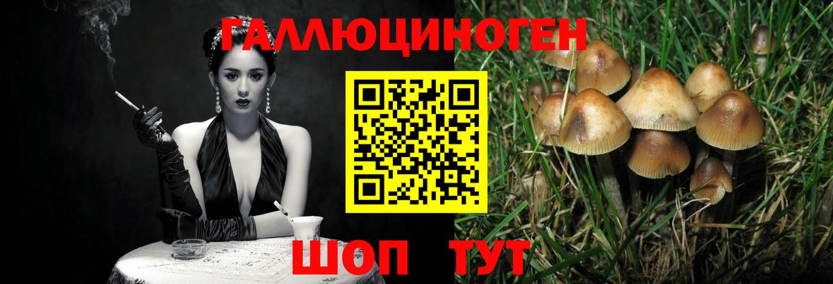 Галлюциногенные грибы мицелий  Псилоцибиновые грибы Psilocybe  Раменское  Вход с VPN 