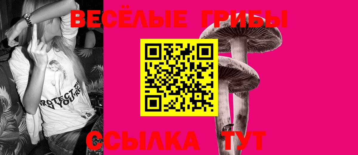 Псилоцибиновые грибы мицелий Раменское